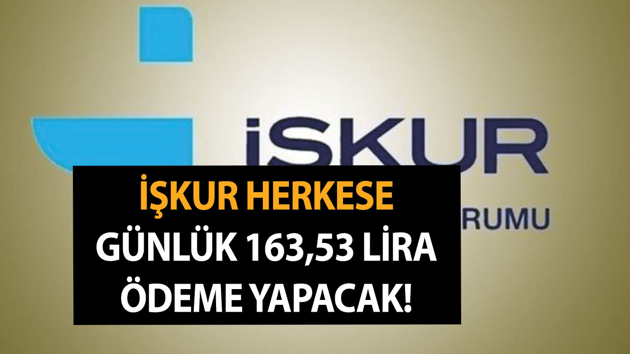 Son Dakika Olarak Duyuruldu! İŞKUR Herkese Günlük 163,53 Lira Ödeme Yapacak!
