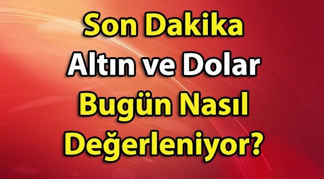 18 Mayıs Altın Ve Dolar Fiyatları! Son Dakika Altın ve Dolar Kuru Bugün Nasıl Değerleniyor?