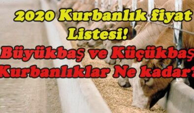 2020 Kurbanlık fiyat Listesi! Büyükbaş ve Küçükbaş Kurbanlıklar Ne kadar?