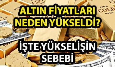 Altın Fiyatları Neden Yükseliyor? (Dünya Ülkelerindeki Bu Karışıklık Sebebiyle Mi)