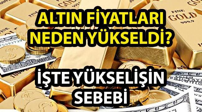 Altın Fiyatları Neden Yükseliyor? (Dünya Ülkelerindeki Bu Karışıklık Sebebiyle Mi)