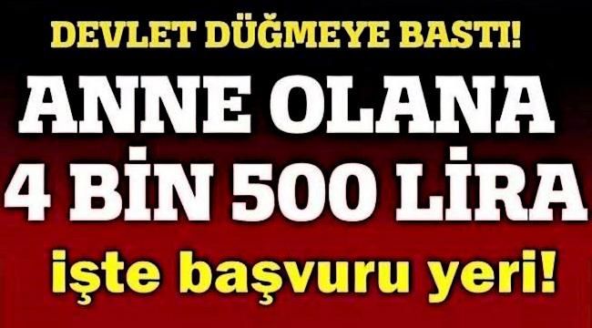 Annelere Maddi Destek! Devletten Çocuk Başına 4 Bin 500 TL Ödeme
