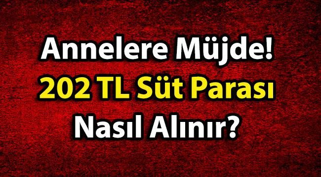 Annelere Müjde! 202 TL Süt Parası Nasıl Alınır? Başvuru 2020