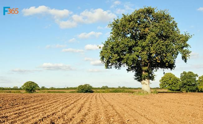 Arazi Alım Kredisi Veren Bankalar (Şartları, Başvuru Yöntemleri)