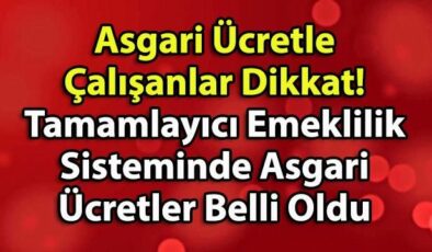 Asgari Ücretle Çalışanlar Dikkat! Tamamlayıcı Emeklilik Sisteminde Asgari Ücretler Belli Oldu