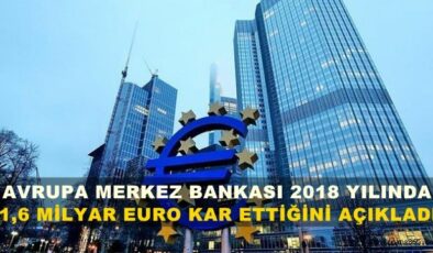 Avrupa Merkez Bankası 2018’de 1,6 Milyar Euro Kar Açıkladı