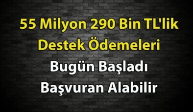 Bakan Açıkladı! 55 Milyon 290 Bin TL’lik Destek Ödemeleri Bugün Başladı Başvuran Alabilir