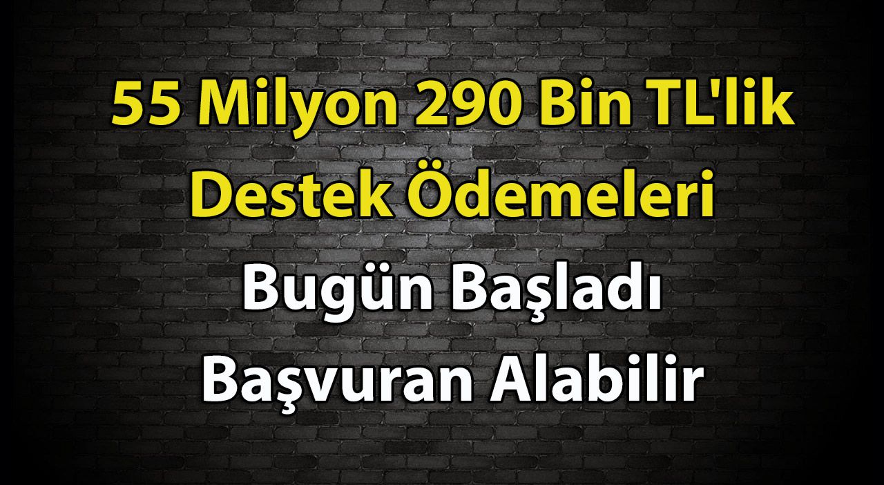 Bakan Açıkladı! 55 Milyon 290 Bin TL’lik Destek Ödemeleri Bugün Başladı Başvuran Alabilir