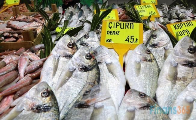 Balık fiyatları av sezonunun kapanmasına az bir süre kala arttı