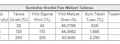 Bankaların Yılbaşı Kredi Kampanyaları Başladı! Şimdi Al 3 Ay Sonra 2019’da Öde Kredi