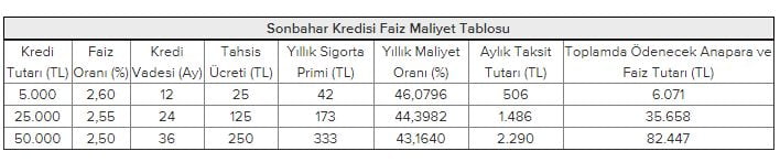 Bankaların Yılbaşı Kredi Kampanyaları Başladı! Şimdi Al 3 Ay Sonra 2019’da Öde Kredi