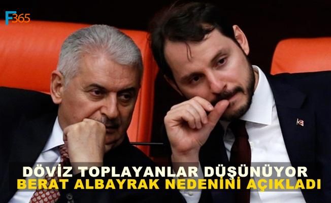 Berat Albayrak: Döviz Toplayanlar Yandı