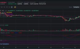 BitTorrent (BTT) büyük düşüş sonrası sert yükseldi 24 Nisan son btt analiz ve yorumları