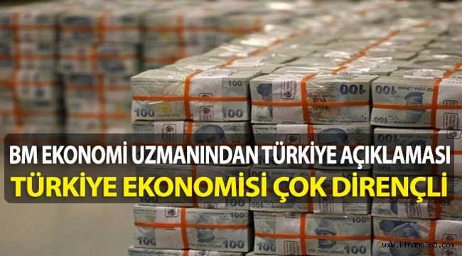 BM Ekonomi Uzmanından Türkiye Ekonomisi Değerlendirmesi