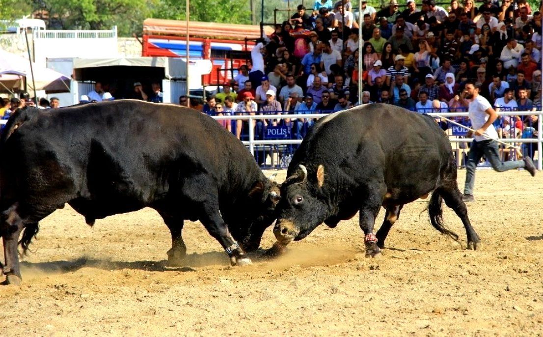 Bu Habere Kulak Verin! Bitcoin, 2022’yi 100 Bin Dolarla Kapatacak