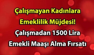 Çalışmayan Kadınlara Emeklilik Müjdesi! Çalışmadan 1500 Lira Emekli Maaşı Alma Fırsatı