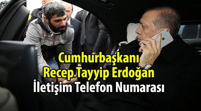 Cumhurbaşkanı Recep Tayyip Erdoğan’ın Telefon Numarası Açıklandı! Bu Numaralardan İletişim Kurabilirsiniz