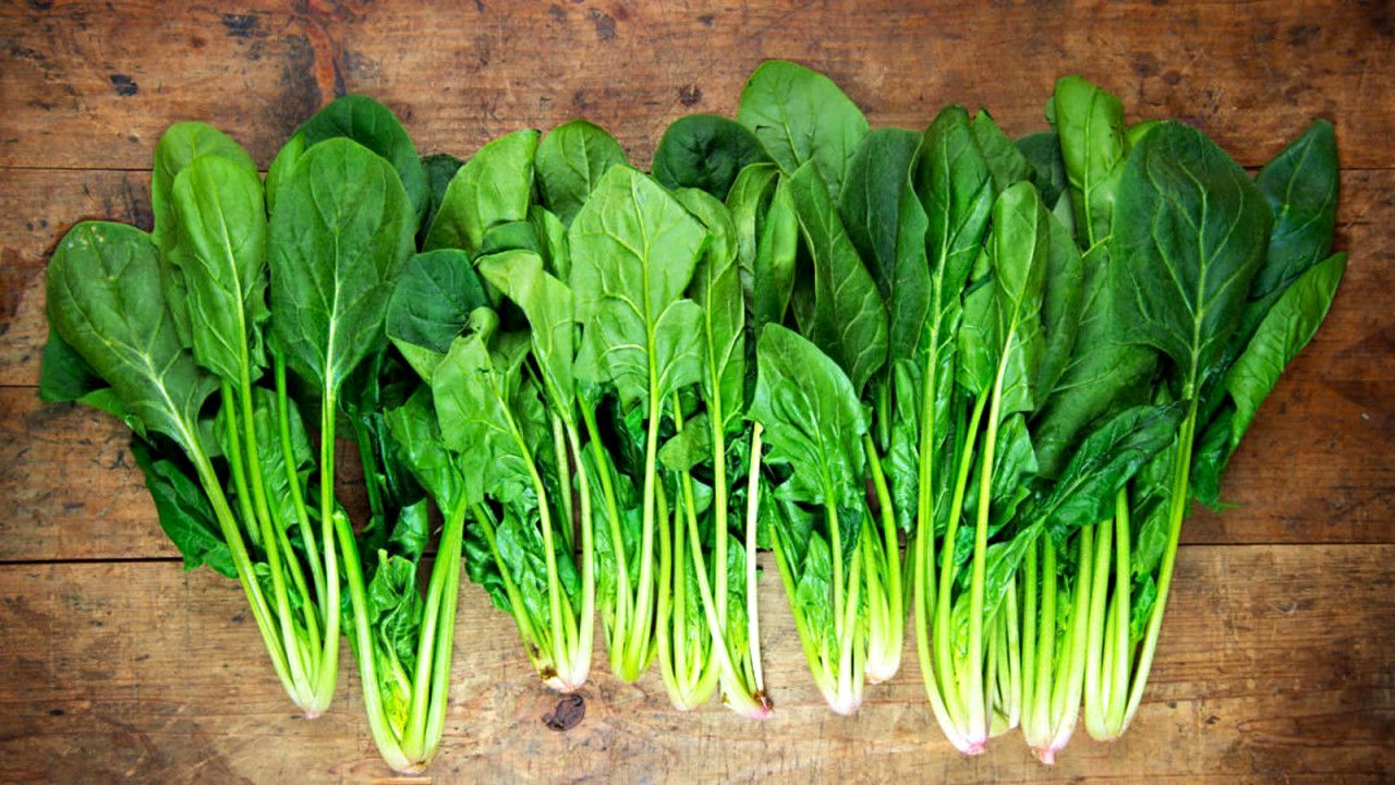 Demir Kaynağı: Ispanağın Faydaları