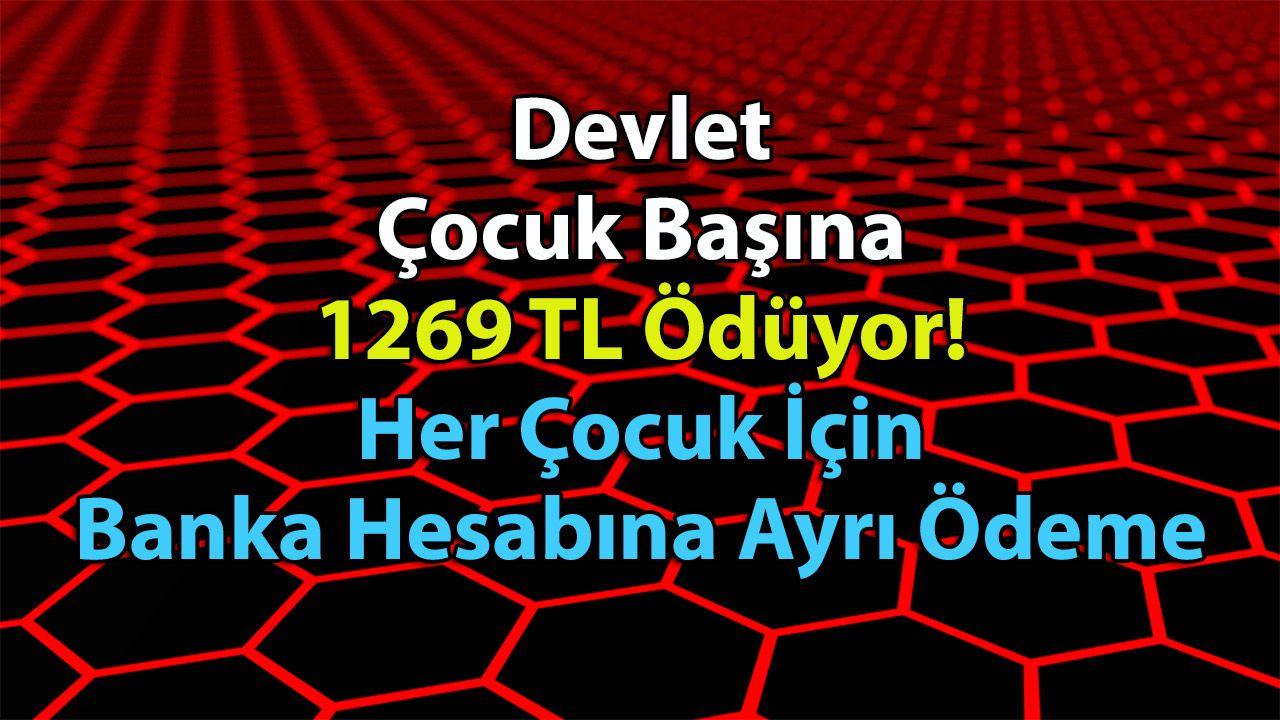 Devlet Çocuk Başına 1269 TL Ödüyor! Her Çocuk İçin Banka Hesabına Ayrı Ödeme
