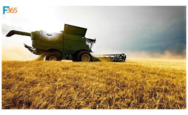 Devlet Mazot Desteği Nasıl Alınır? (Gerekli Evraklar ve Şartları)