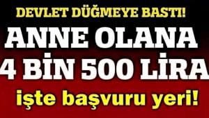 Devletten 100 Bin Lira Faizsiz Kredi, 50 Bin Lira Hibe! Devlet Şartları Uyan Herkese Veriyor!