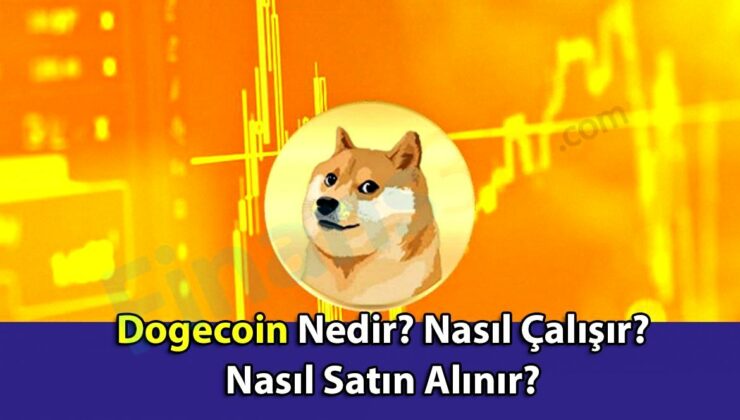 Dogecoin Nedir, Nasıl Çalışır, Nasıl Satın Alınır?