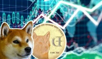 Dogecoin’den Milyon Dolarlar Kazanmış Birinin SHIB ve DOGE Öngörüleri