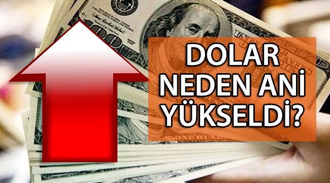 Dolar Neden Aniden Yükseldi? Yükselişin Sebebi Ne? Devam Edecek mi?