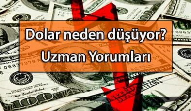 Dolar neden düşüyor? Dolar fiyatları gözünü aşağı dikti uzmanların son dolar yorumları