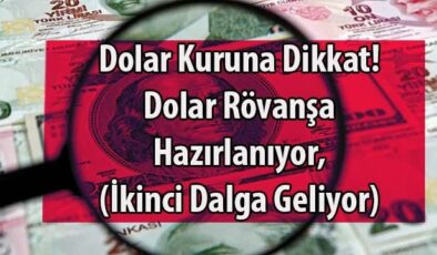 Dolar Rövanşa Hazırlanıyor! İkinci Dalga Geliyor! Ünlü Uzman Böyle Uyardı
