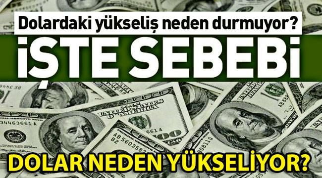 Dolar Tutulamıyor! Dolardaki Yükseliş Neden Durmuyor? İşte Sebebi