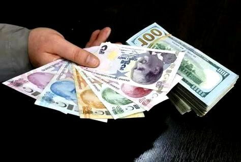 Döviz Kuru Korumalı TL Mevzuatı Sisteminin Detayları Neler?