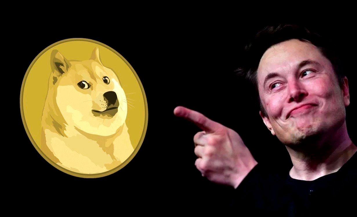 Elon Musk’un Köpeğinden Esinlenerek Oluşturulan Shıba Inu, 14 Ayda 8 Bin Doları 57 Milyon Dolar Yaptı!