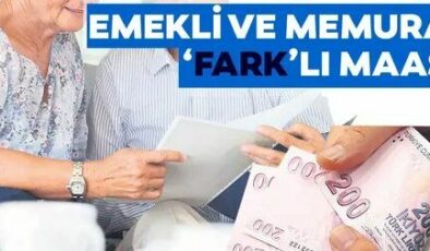 Emekliye Ve Memura Yeni Enflasyon Farkı Verilecek 