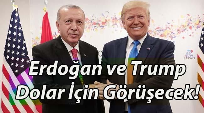 Erdoğan ve Trump Dolar İçin Görüşecek! Dolar Fiyatları Sabitlenecek mi?