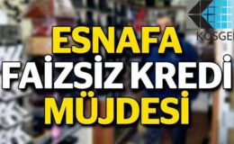 Esnafa Faizsiz Kredi Şartları Neler? (2023 KOSGEB Güncel)