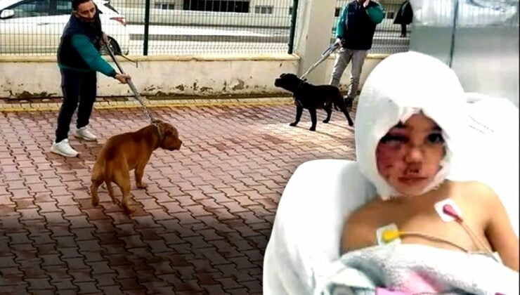 Gaziantep’te Pitbull Saldırısı Sonucu Ağır Yaralanan Küçük Kızın Ailesine Ünlü Şarkıcıdan 1 Yıllık Kira Sözü