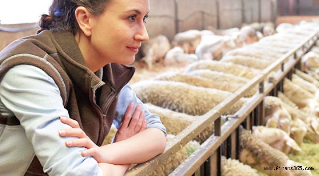 Genç Çiftçi Sertifikası Nasıl Alınır? (Şartları ve Gerekli Evraklar)