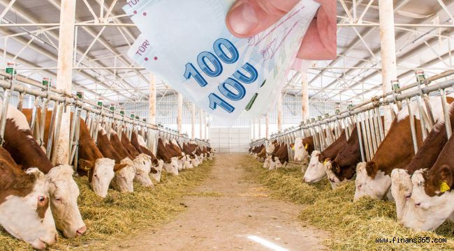 Geri Ödemesiz Hayvancılık Kredisi Nasıl Alınır? (Başvurusu ve Şartları)