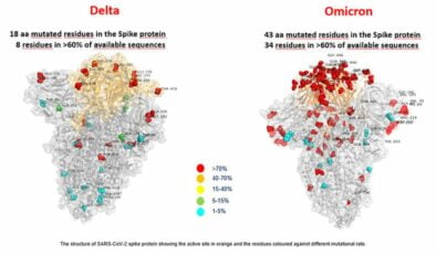 Güney Afrika’da Ortaya Çıkan Yeni Varyant İle Aynı İsmi Taşıyan Kripto Para %900 Değer Kazandı