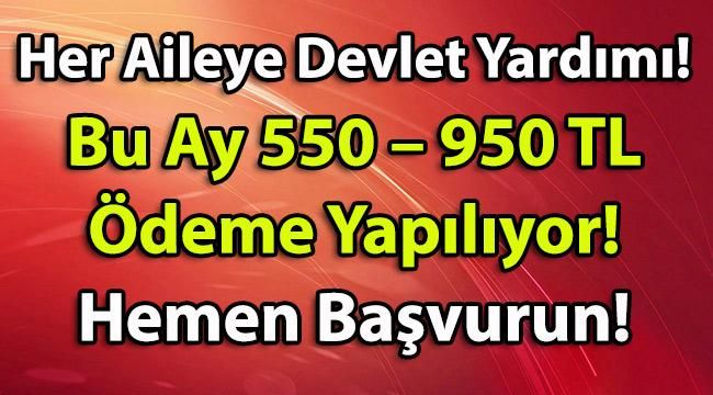 Her Aileye Devlet Yardımı! Bu Ay 550 – 950 TL Ödeme Yapılıyor! Hemen Başvurun!