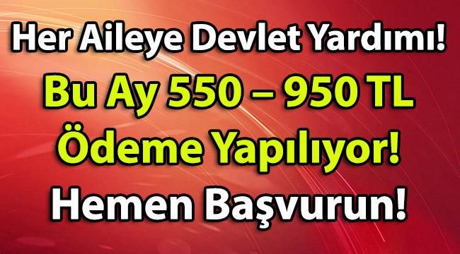 Her Aileye Devlet Yardımı! Bu Ay 550 – 950 TL Ödeme Yapılıyor! Hemen Başvurun!