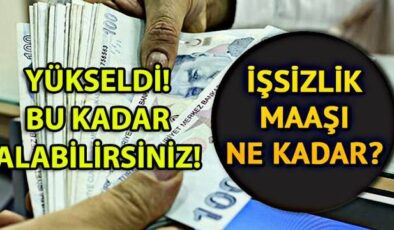 İşsizlik Maaşı Rakamları Değişti! 2020 İşsizlik Maaşı Ne Kadar?