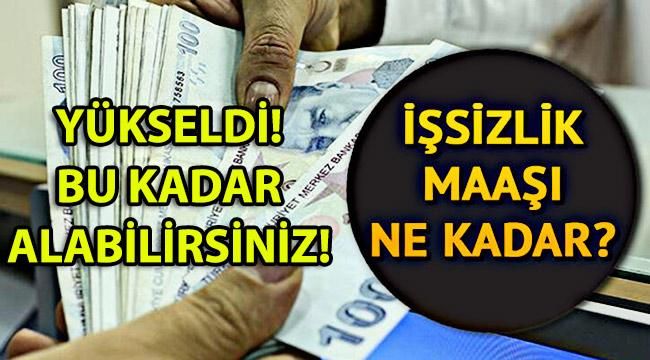 İşsizlik Maaşı Rakamları Değişti! 2020 İşsizlik Maaşı Ne Kadar?