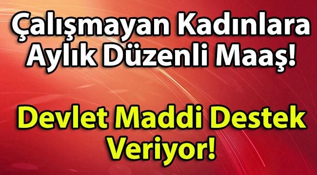 Kadın Çalışmıyorsa Devletten Aylık 2420 TL Düzenli Maaş Alabilecek! İşte Şartlar