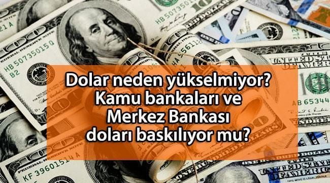 Kamu Bankaları ve Merkez Bankası Doları Baskılıyor mu? Dolar Neden Yükselmiyor?
