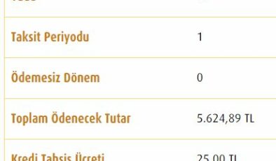 Mart 2019 Güncel İhtiyaç Kredisi Faiz Oranları