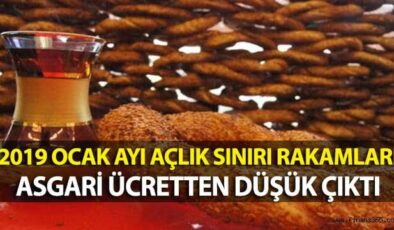 Ocak 2019 Açlık ve Yoksulluk Sınırı Rakamları Asgari Ücretten Düşük Çıktı