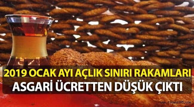 Ocak 2019 Açlık ve Yoksulluk Sınırı Rakamları Asgari Ücretten Düşük Çıktı