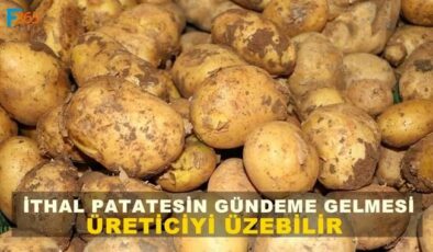 Patates İthalatı Çiftçiye Güven Vermiyor